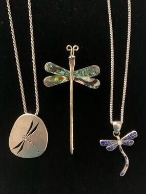 Dragonfly Jewelry